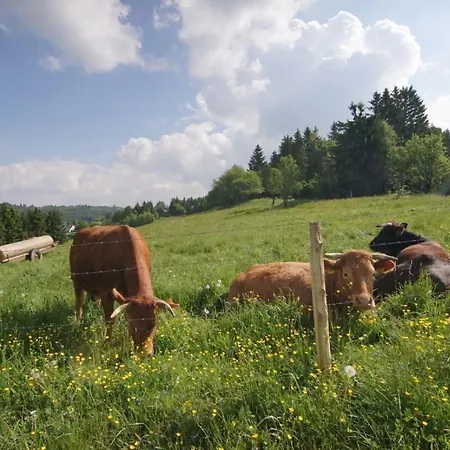Ferienhaus Winterberg 別荘 ヴィンターベルク