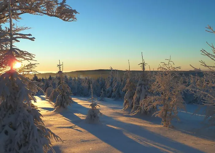 Holiday home Ferienhaus Winterberg