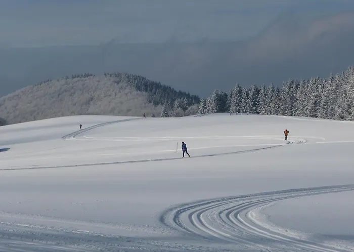 Ferienhaus Winterberg * Winterberg