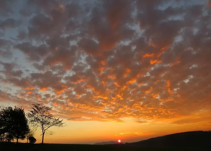 Ferienhaus Winterberg ヴィンターベルク