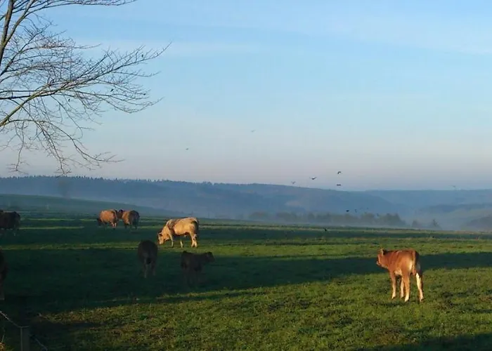 Ferienhaus Winterberg * ヴィンターベルク