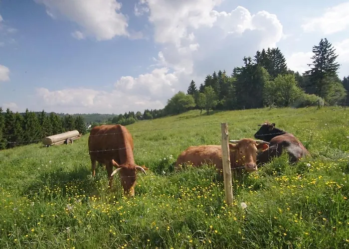 Ferienhaus Winterberg Nyaraló Winterberg